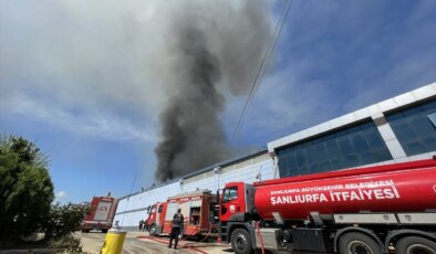 Şanlıurfa’da bir tekstil fabrikasında çıkan yangına itfaiye ekipleri müdahale ediyor