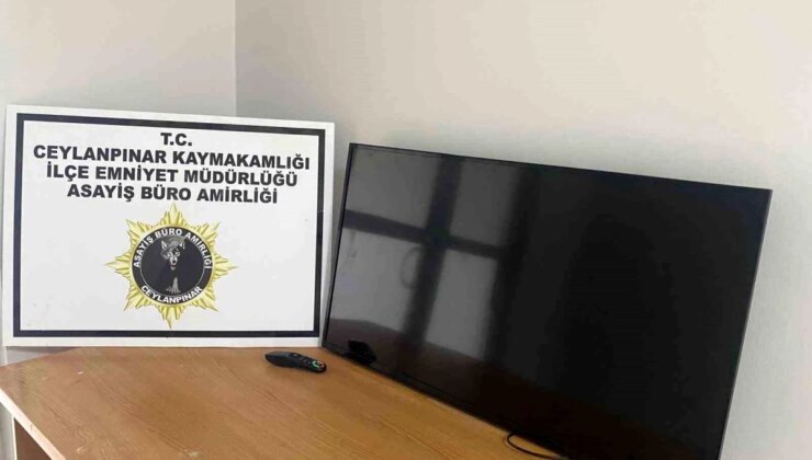 Şanlıurfa’da Çalınan Televizyon Çarşafa Sarılıp Götürülen Şahıs Yakalandı
