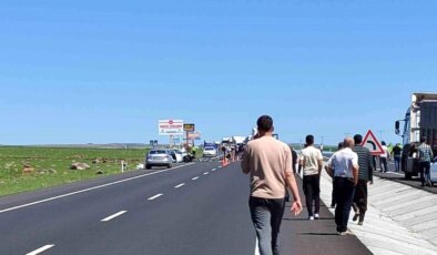 Şanlıurfa’da trafik kazası: 2 ölü, 6 yaralı