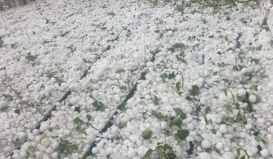 Urfa’lı tarım işçilerinin yardımına Başkan Delioğlu yetişti