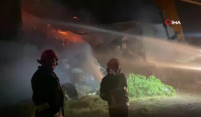 Şanlıurfa’da çırçır fabrikasında yangın