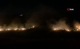 Şanlıurfa’da ormanlık alanda çıkan yangın geceyi aydınlattı