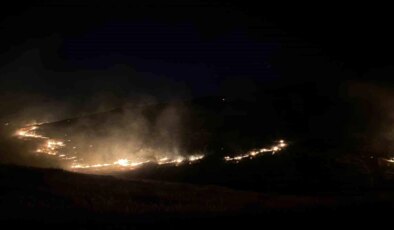 Şanlıurfa’da ormanlık alanda çıkan yangına vatandaşlar ve ekipler müdahale ediyor