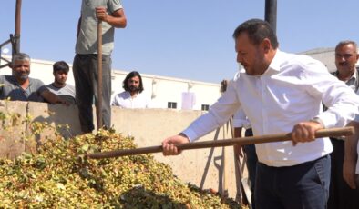 BAŞKAN YETİM: ŞANLIURFA OLARAK TÜRKİYE’NİN FISTIĞININ YÜZDE KIRK YEDİSİNİ ŞANLIURFA KETEN KÖYNEĞİ FISTIĞI OLARAK ŞANLIURFA’DA ÜRETİYORUZ